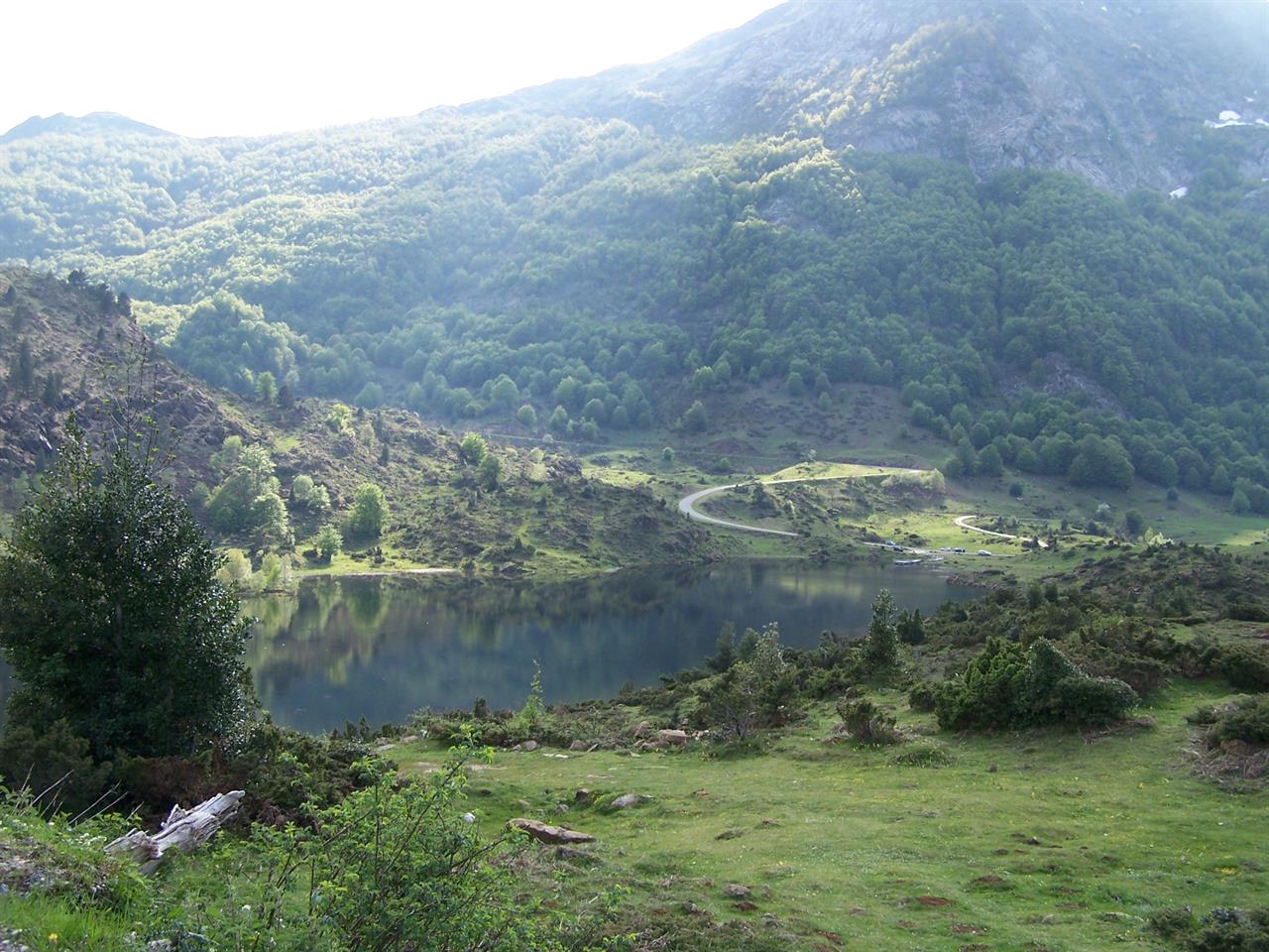 Photo 955732